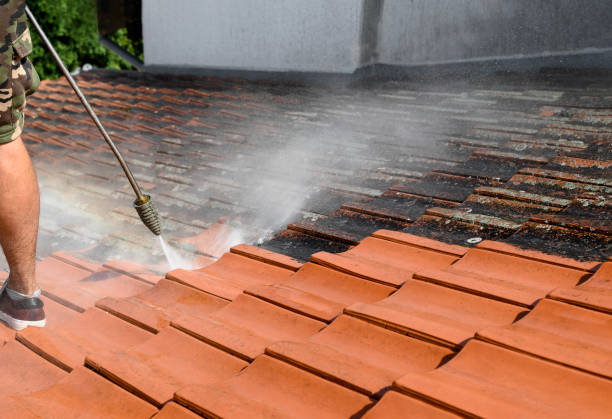 Best Pressure Washing Estimates  in Trezevant, TN