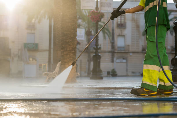 Best Sidewalk Pressure Washing  in Trezevant, TN