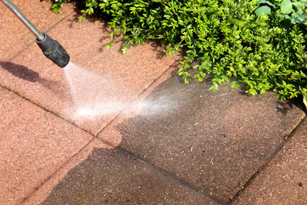 Best Commercial Pressure Washing  in Trezevant, TN